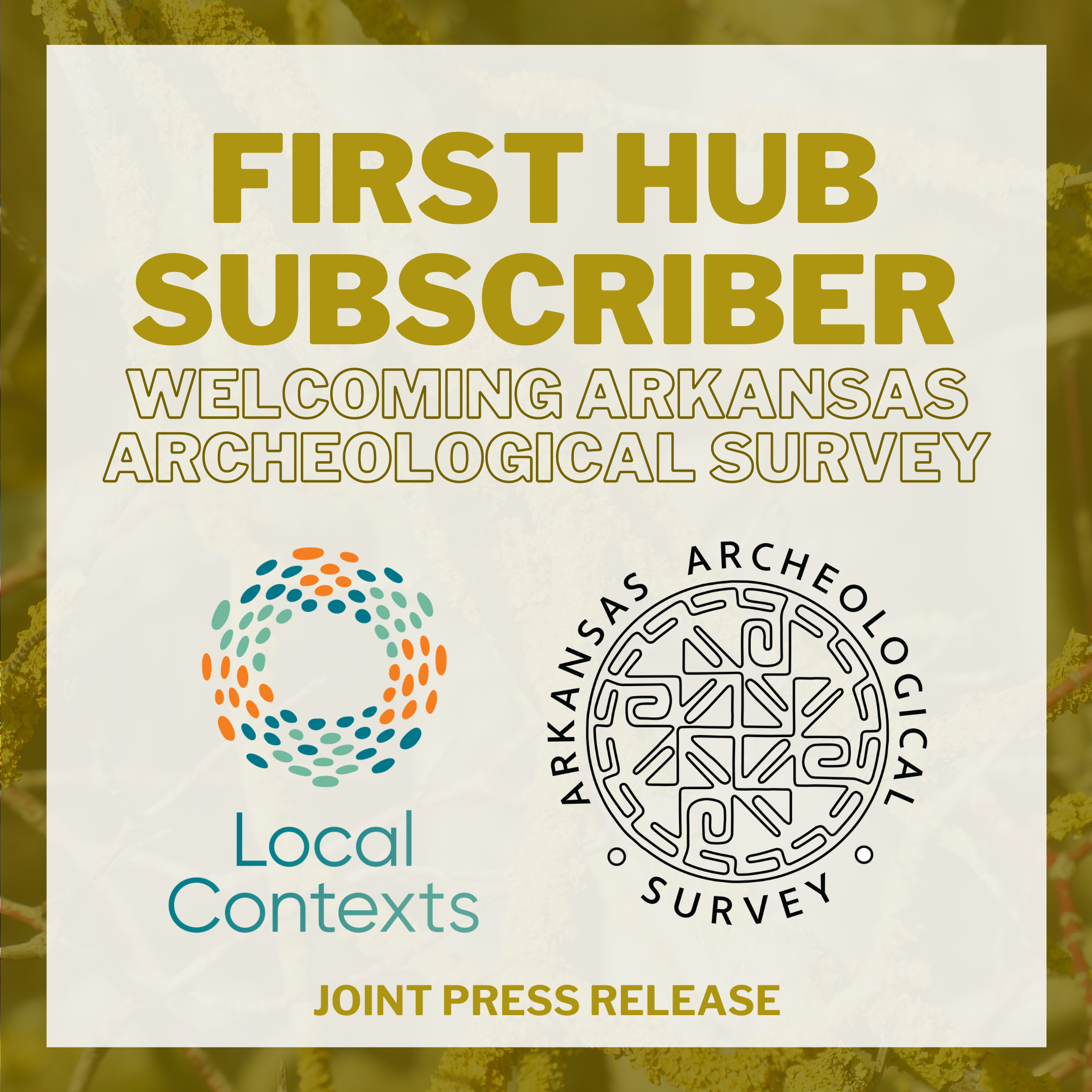 “First Hub subscriber. Welcoming Arkansas Archeological Survey. Joint Press release.” Logos for Local Contexts and Arkansas Archeological Survey. Decorative yellow background.